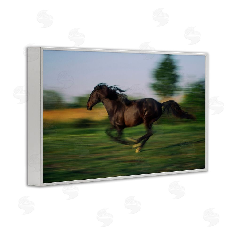 Scott Stulberg Dashing Camargue Racehorse White Framed Giclee Wall Art Print