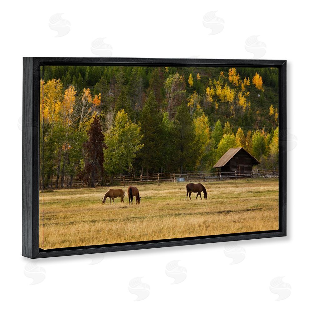 Scott Stulberg Horses In Jackson Hole Black Floating Framed Canvas Wall Art
