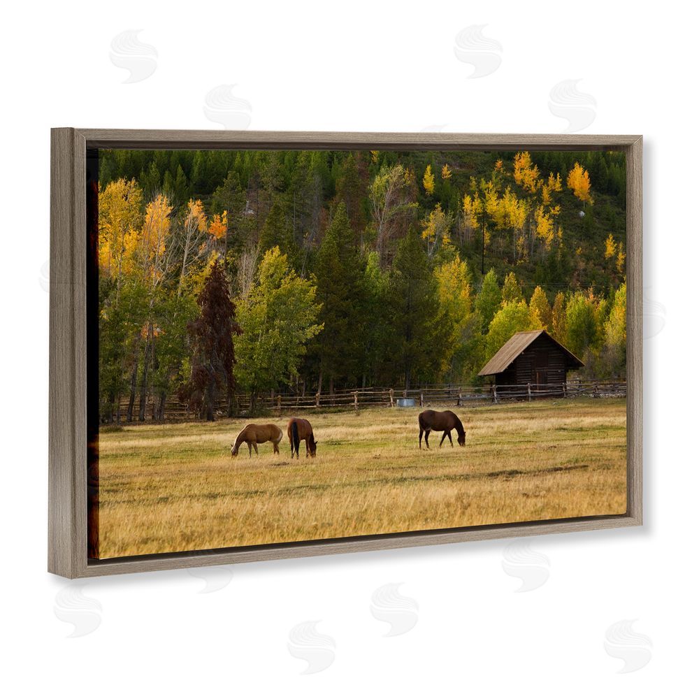 Scott Stulberg Horses In Jackson Hole Brown Floating Framed Canvas Wall Art