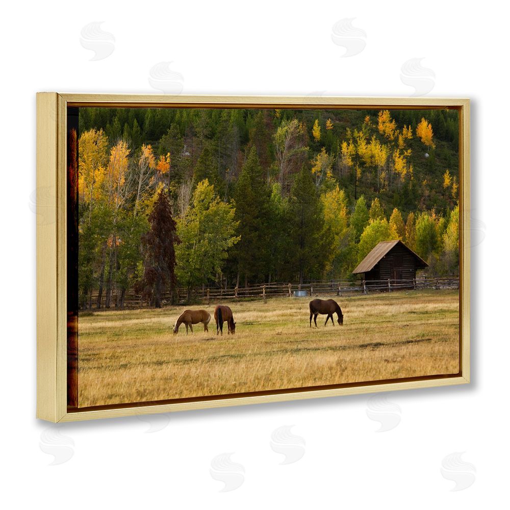 Scott Stulberg Horses In Jackson Hole Gold Floating Framed Canvas Wall Art