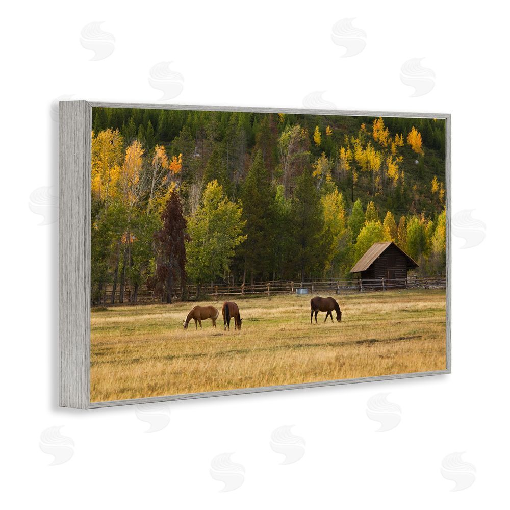 Scott Stulberg Horses In Jackson Hole Gray Framed Giclee Wall Art