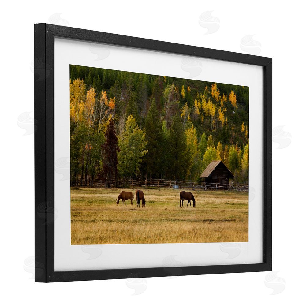 Scott Stulberg Horses In Jackson Hole Black Framed Print Under Glass Wall Art