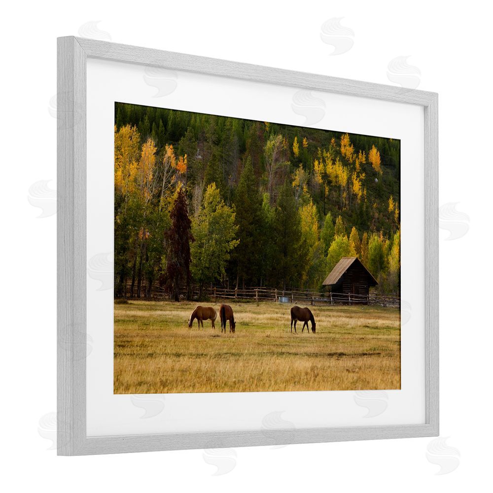 Scott Stulberg Horses In Jackson Hole Gray Framed Print Under Glass Wall Art