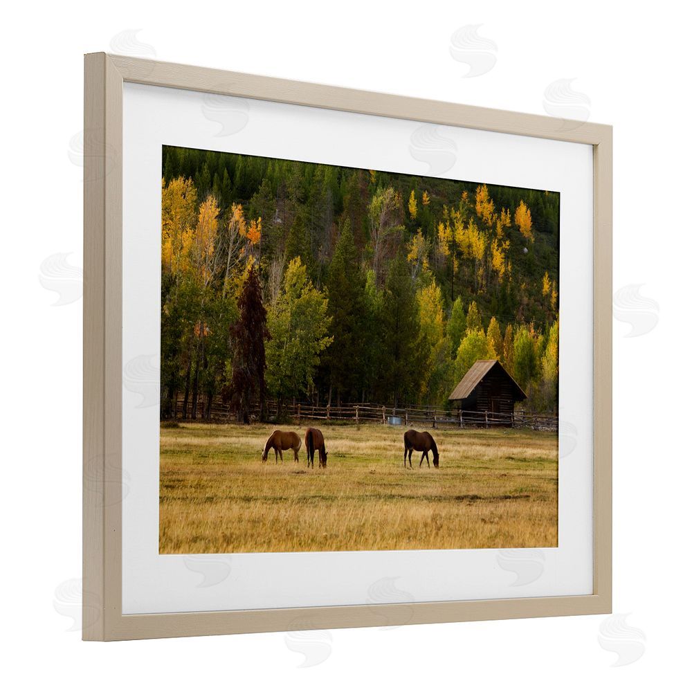 Scott Stulberg Horses In Jackson Hole Brown Framed Print Under Glass Wall Art