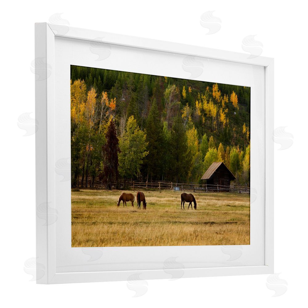 Scott Stulberg Horses In Jackson Hole White Framed Print Under Glass Wall Art
