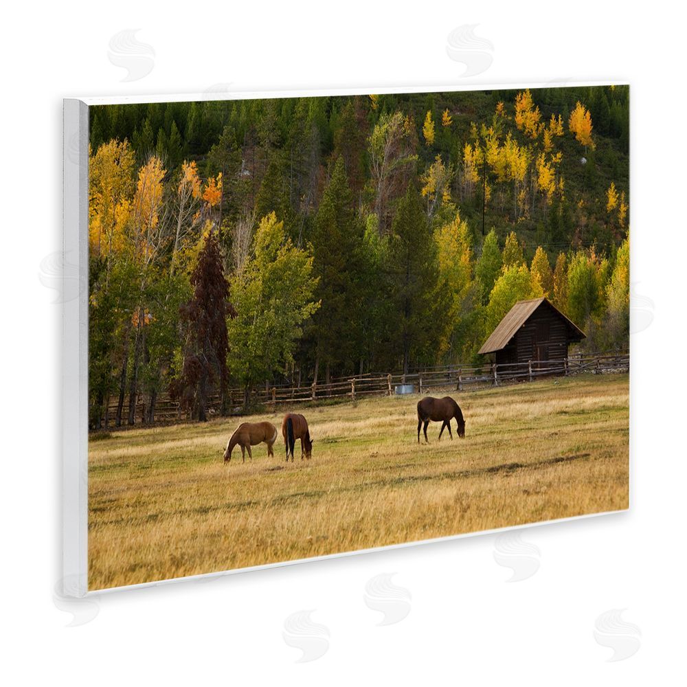 Scott Stulberg Horses In Jackson Hole Wall Plaque Home Decor Art Print