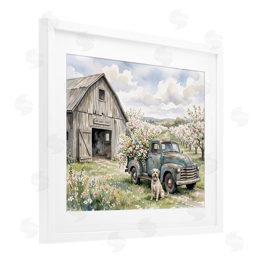 Tabz Jones Spring Orchard and Truck White Framed Print Under Glass with White Mat Wall Art