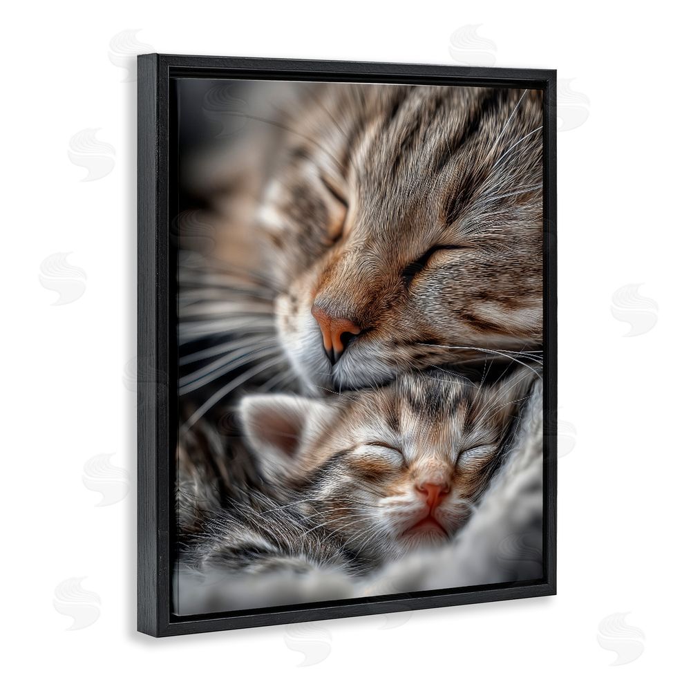 Scott Stulberg Kitty Love Cuddles Black Floating Framed Canvas Wall Art