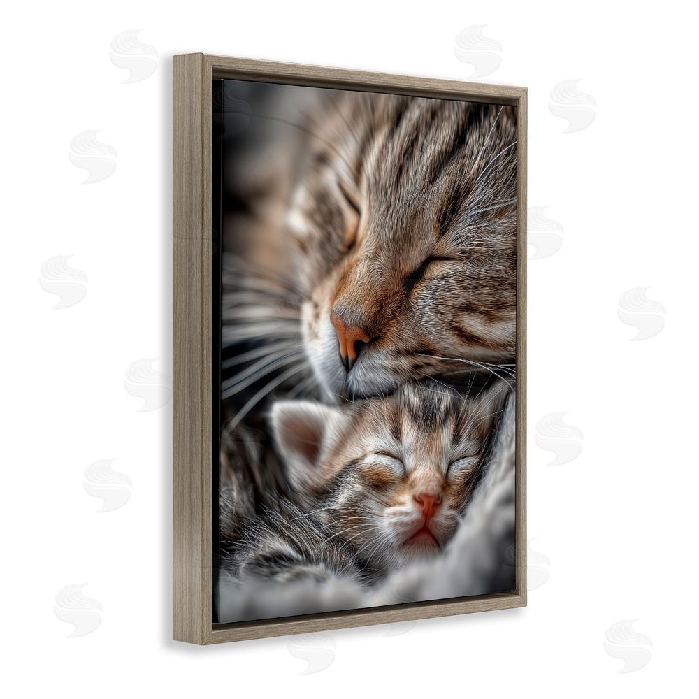 Scott Stulberg Kitty Love Cuddles Brown Floating Framed Canvas Wall Art
