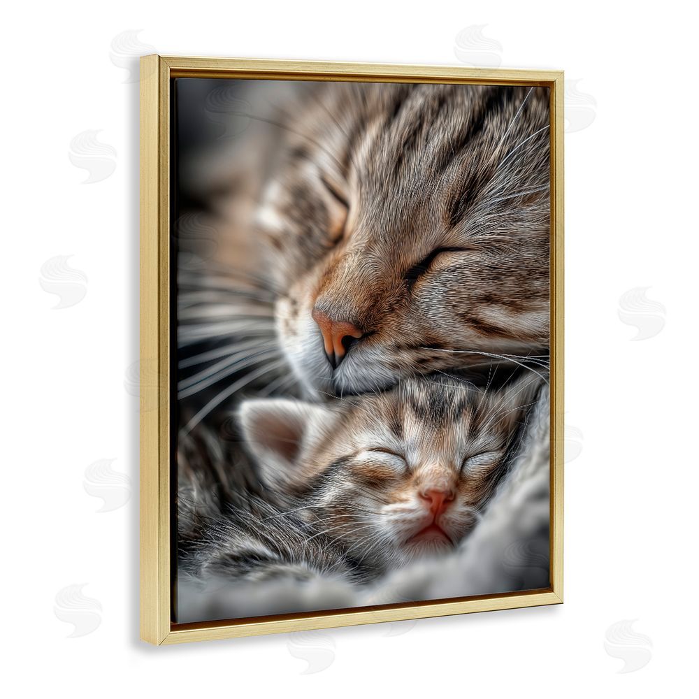 Scott Stulberg Kitty Love Cuddles Gold Floating Framed Canvas Wall Art