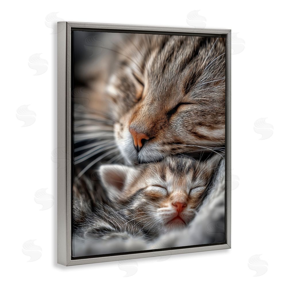 Scott Stulberg Kitty Love Cuddles Gray Floating Framed Canvas Wall Art