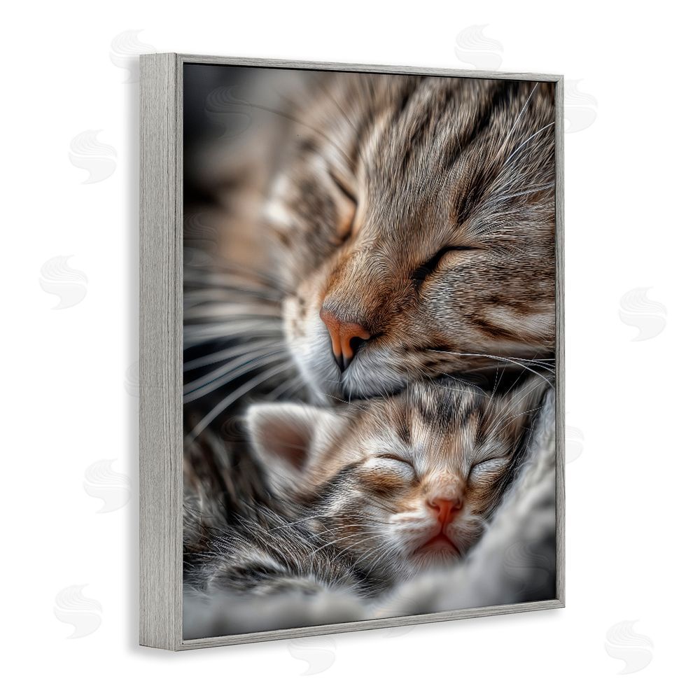 Scott Stulberg Kitty Love Cuddles Gray Framed Giclee Wall Art