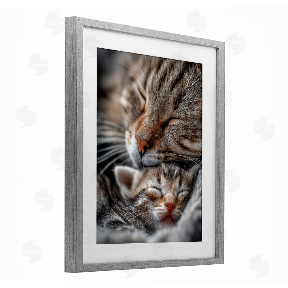 Scott Stulberg Kitty Love Cuddles Gray Framed Print Under Glass Wall Art