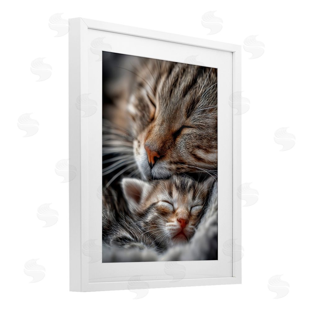 Scott Stulberg Kitty Love Cuddles White Framed Print Under Glass Wall Art
