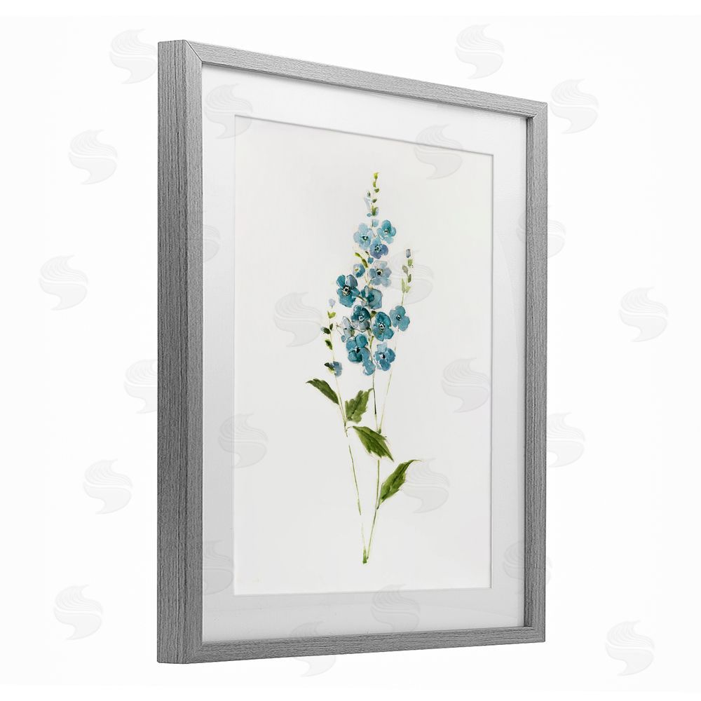 Sally Swatland Delicate Blue Sprigs Gray Framed Print Under Glass Wall Art
