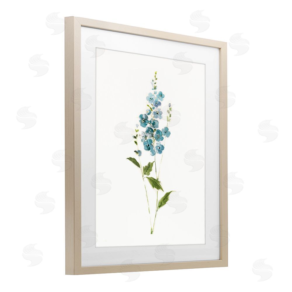 Sally Swatland Delicate Blue Sprigs Brown Framed Print Under Glass Wall Art