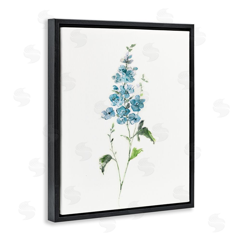 Sally Swatland Natural Spring Herbs Black Floating Framed Canvas Wall Art