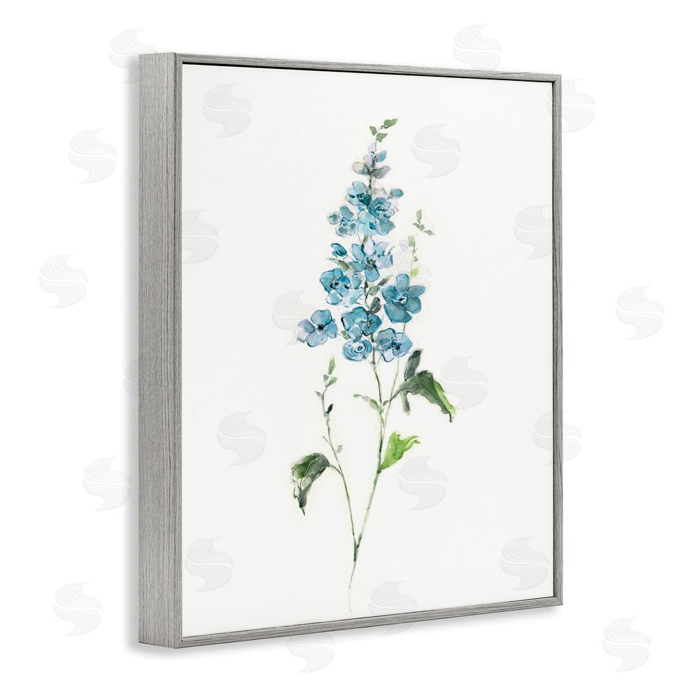 Sally Swatland Natural Spring Herbs Gray Framed Giclee Wall Art