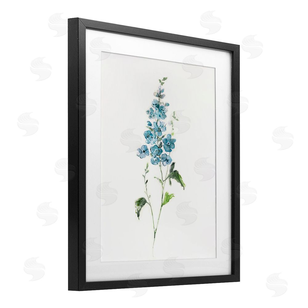 Sally Swatland Natural Spring Herbs Black Framed Print Under Glass Wall Art