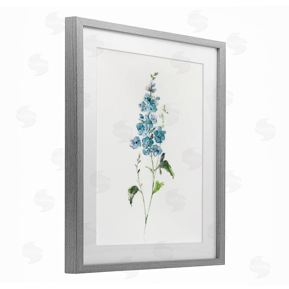 Sally Swatland Natural Spring Herbs Gray Framed Print Under Glass Wall Art