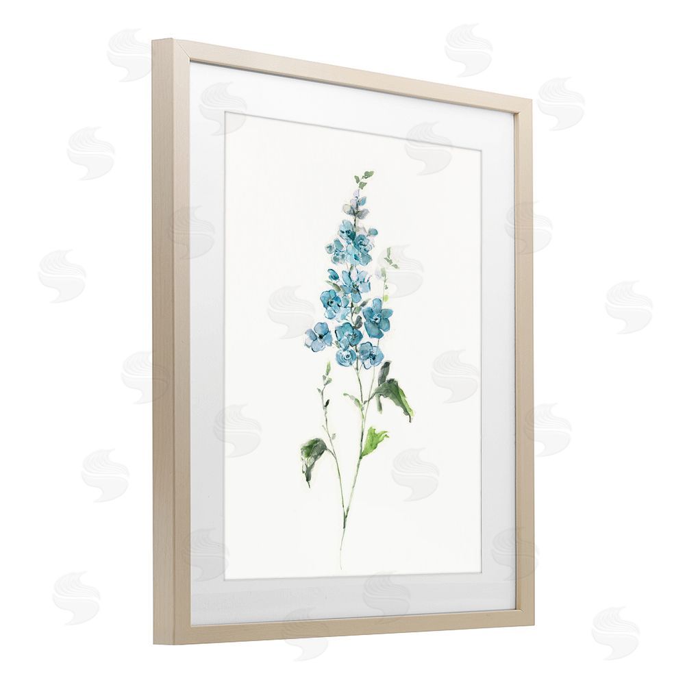 Sally Swatland Natural Spring Herbs Brown Framed Print Under Glass Wall Art