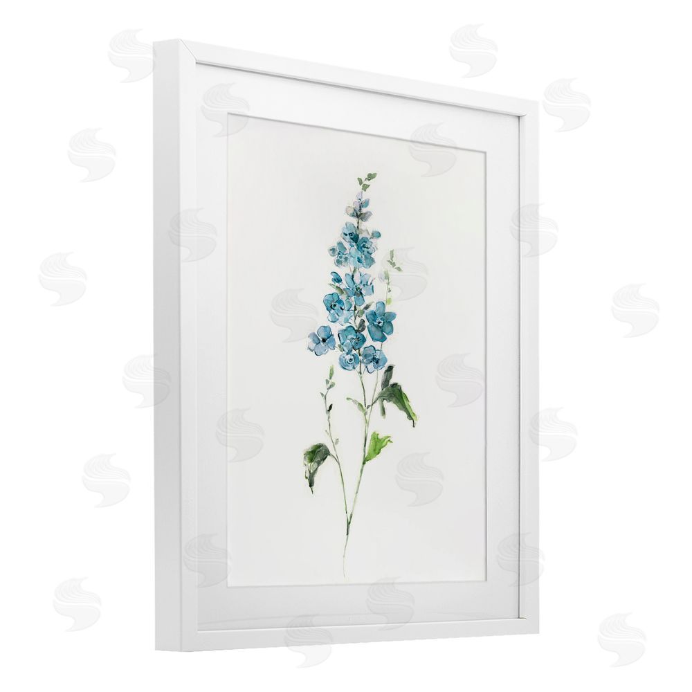 Sally Swatland Natural Spring Herbs White Framed Print Under Glass Wall Art
