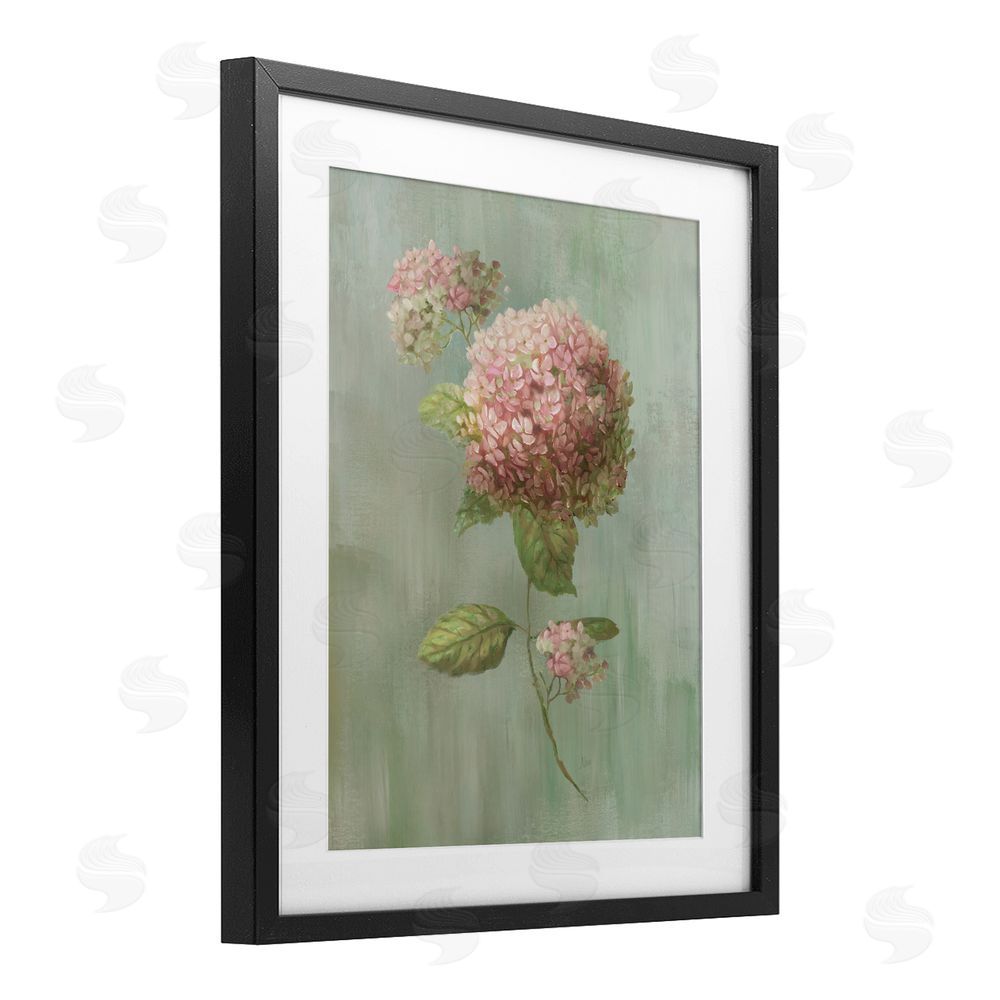 Nan Single Hydrangea Bushel Black Framed Print Under Glass with White Mat Wall Art