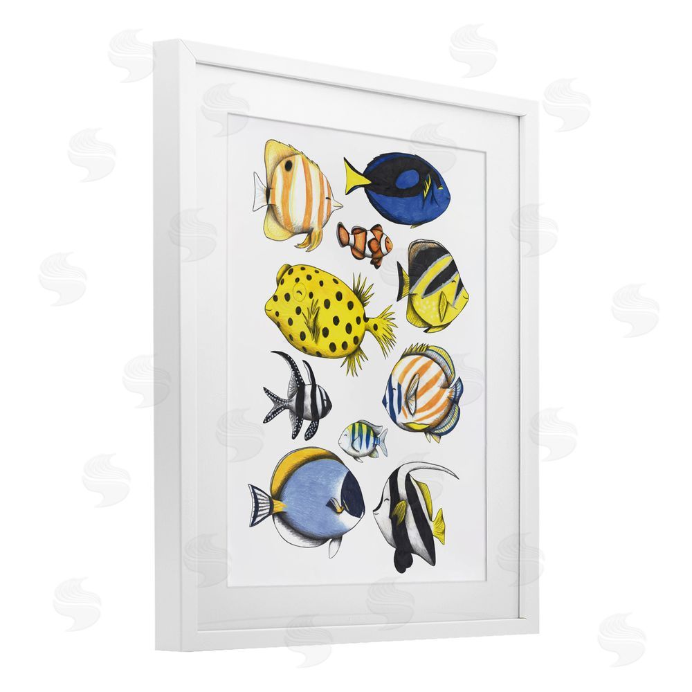 Cecilia Battaini Aquatic Fishes Collection White Framed Print Under Glass with Matting Wall Art