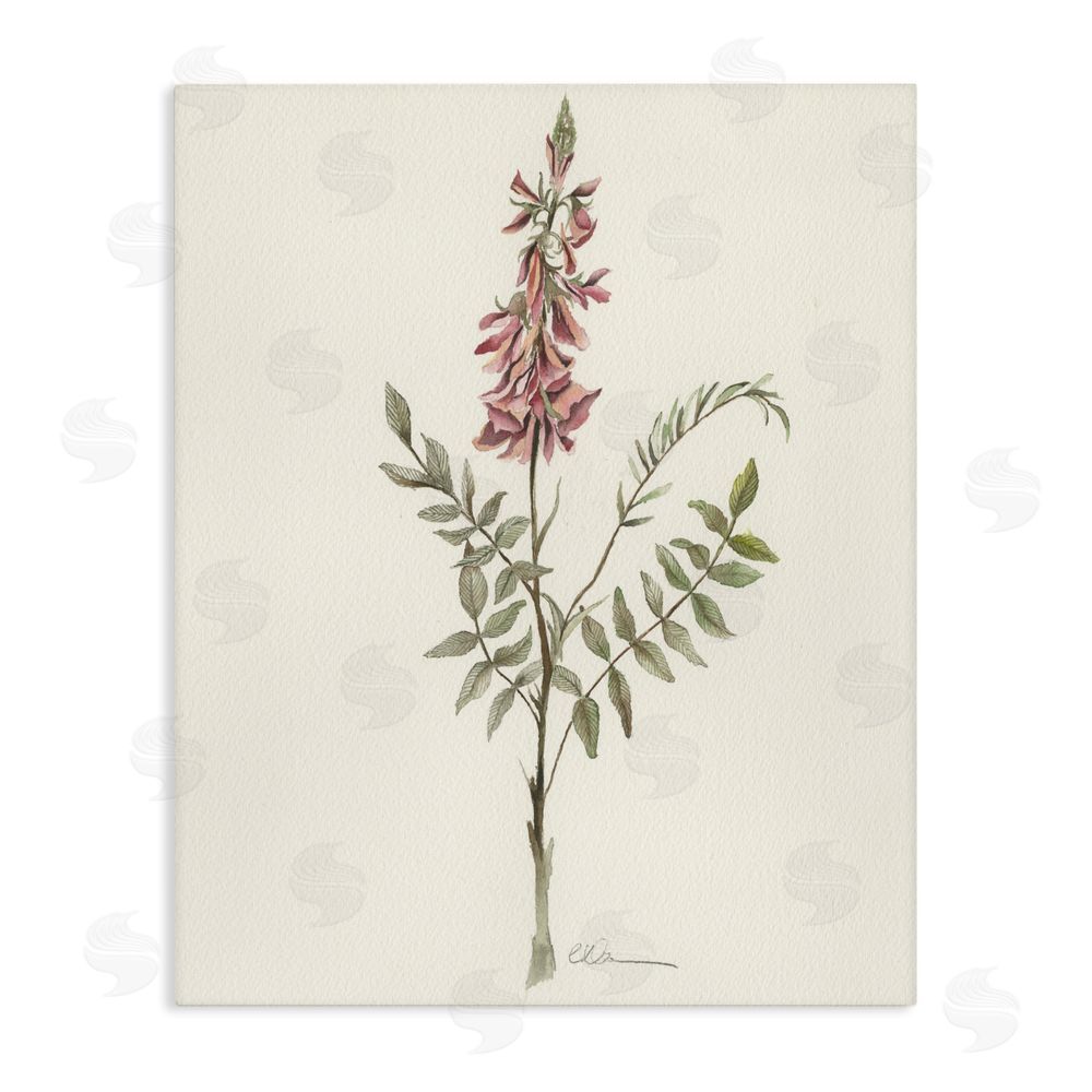 Cady Driver Nature's Delicate Herb Sprig Stretched Canvas Wall Art