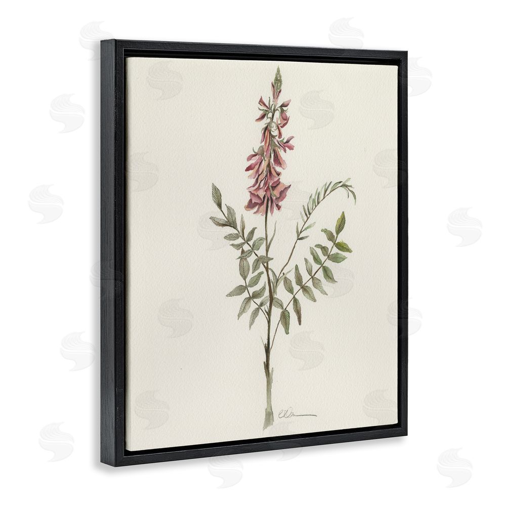 Cady Driver Nature's Delicate Herb Sprig Black Floating Framed Canvas Wall Art