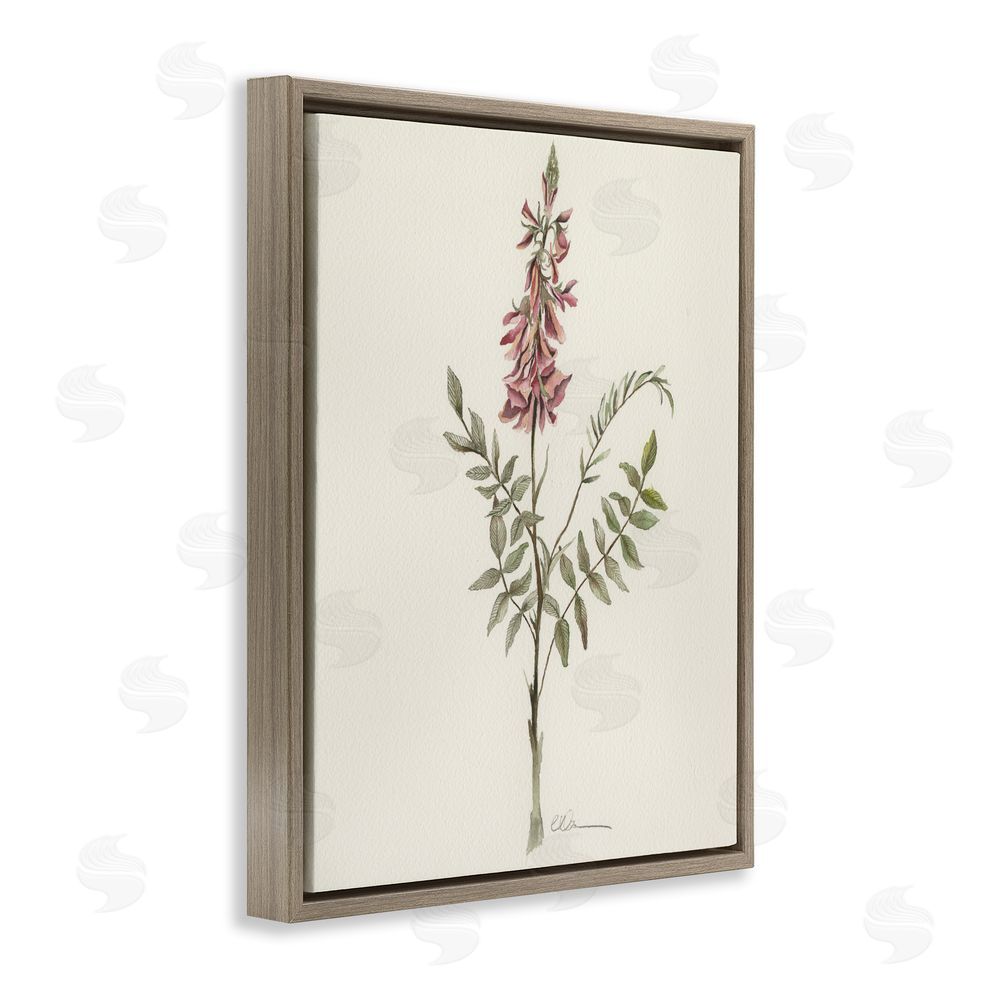 Cady Driver Nature's Delicate Herb Sprig Brown Floating Framed Canvas Wall Art