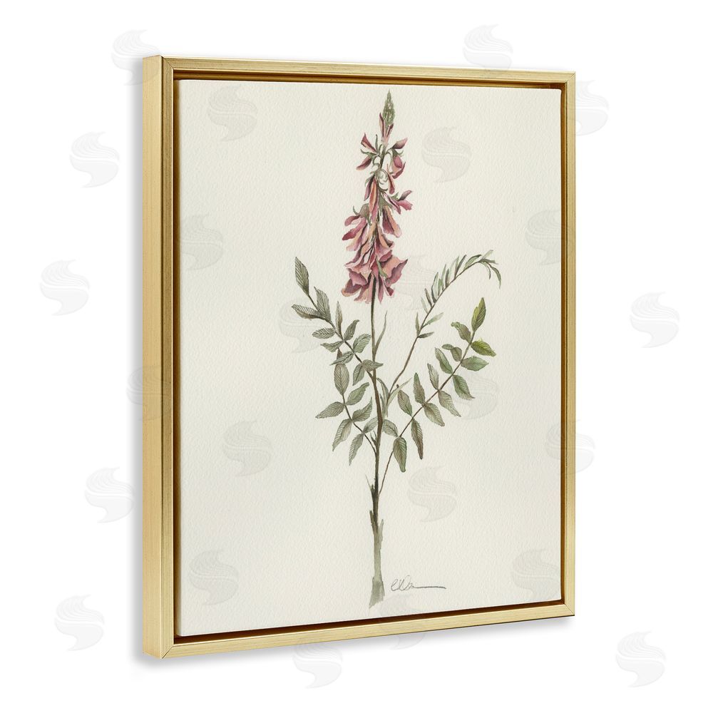 Cady Driver Nature's Delicate Herb Sprig Gold Floating Framed Canvas Wall Art