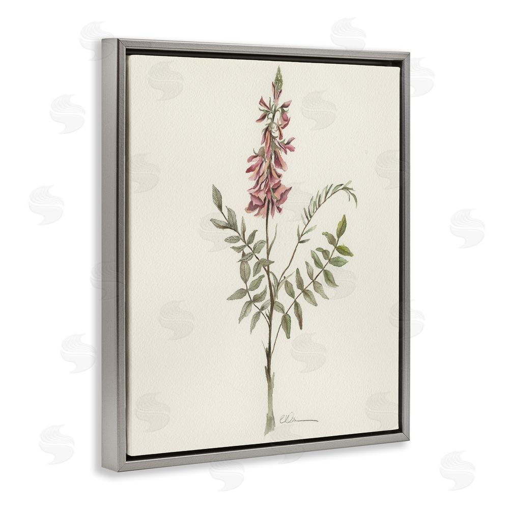 Cady Driver Nature's Delicate Herb Sprig Gray Floating Framed Canvas Wall Art