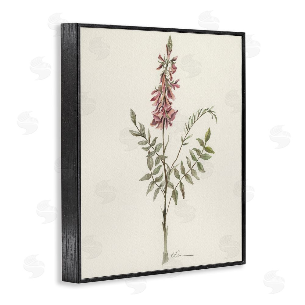 Cady Driver Nature's Delicate Herb Sprig Black Framed Giclee Wall Art