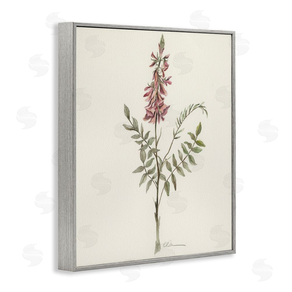 Cady Driver Nature's Delicate Herb Sprig Gray Framed Giclee Wall Art