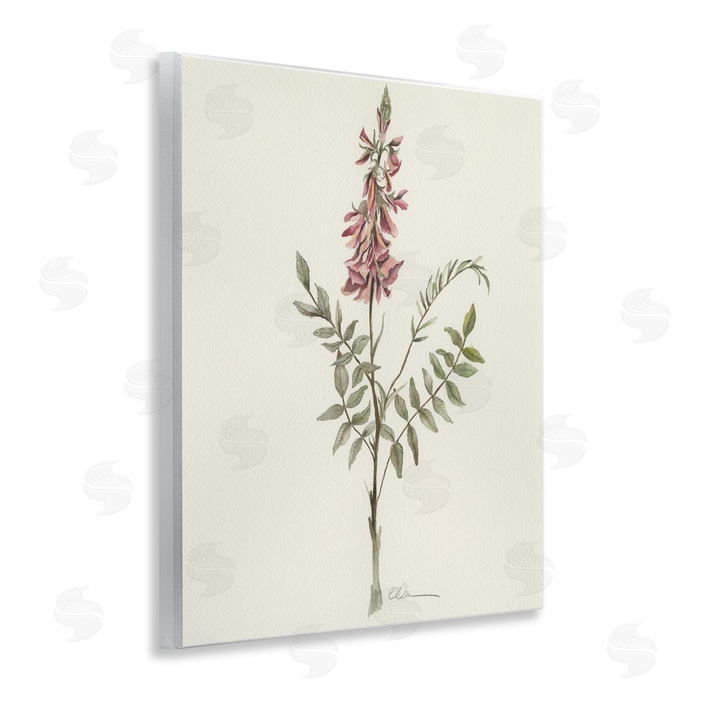 Cady Driver Nature's Delicate Herb Sprig Wall Plaque Home Decor Art Print