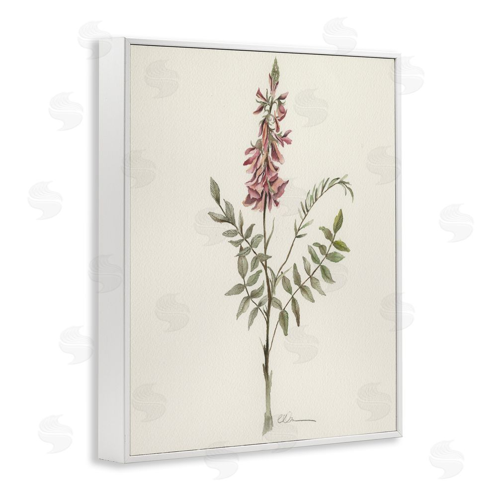 Cady Driver Nature's Delicate Herb Sprig White Framed Giclee Wall Art
