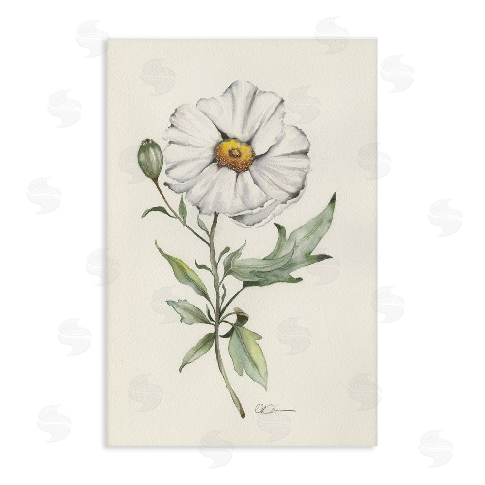 Cady Driver Natural Wild Blossom Sprig Stretched Canvas Wall Art