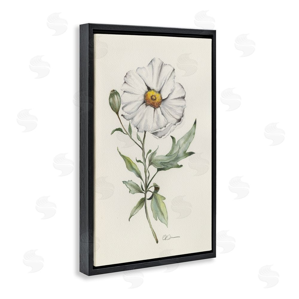 Cady Driver Natural Wild Blossom Sprig Black Floating Framed Canvas Wall Art