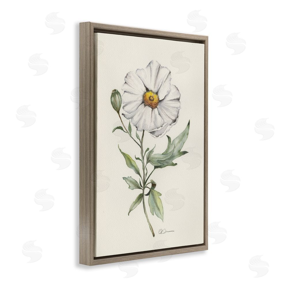 Cady Driver Natural Wild Blossom Sprig Brown Floating Framed Canvas Wall Art