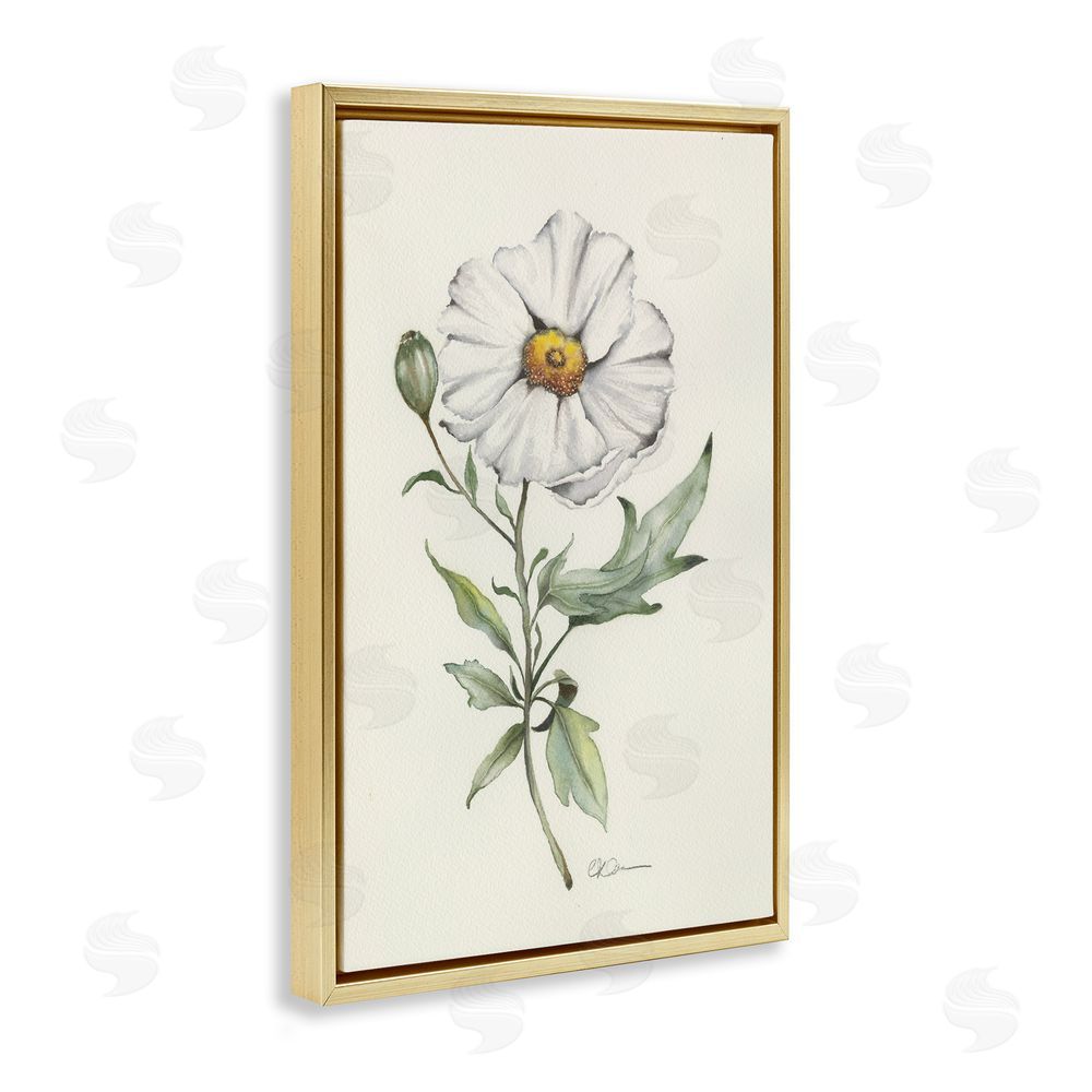 Cady Driver Natural Wild Blossom Sprig Gold Floating Framed Canvas Wall Art