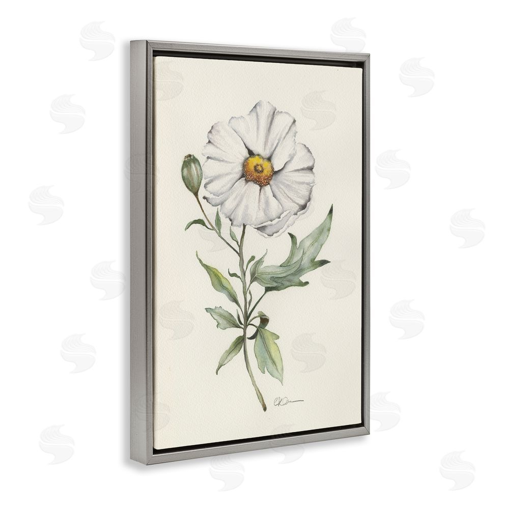 Cady Driver Natural Wild Blossom Sprig Gray Floating Framed Canvas Wall Art