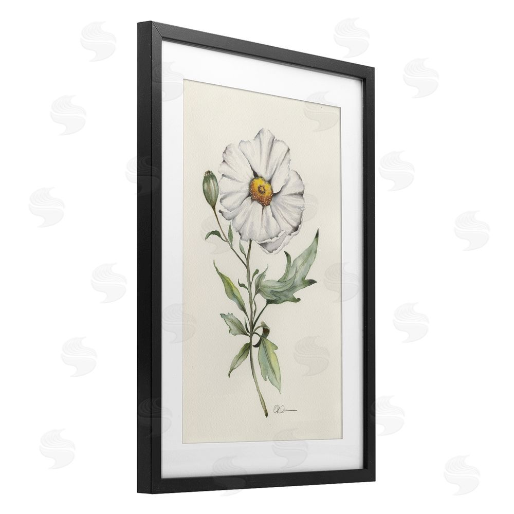 Cady Driver Natural Wild Blossom Sprig Black Framed Print Under Glass Wall Art