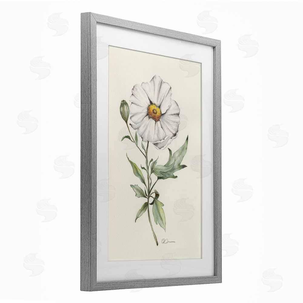 Cady Driver Natural Wild Blossom Sprig Gray Framed Print Under Glass Wall Art