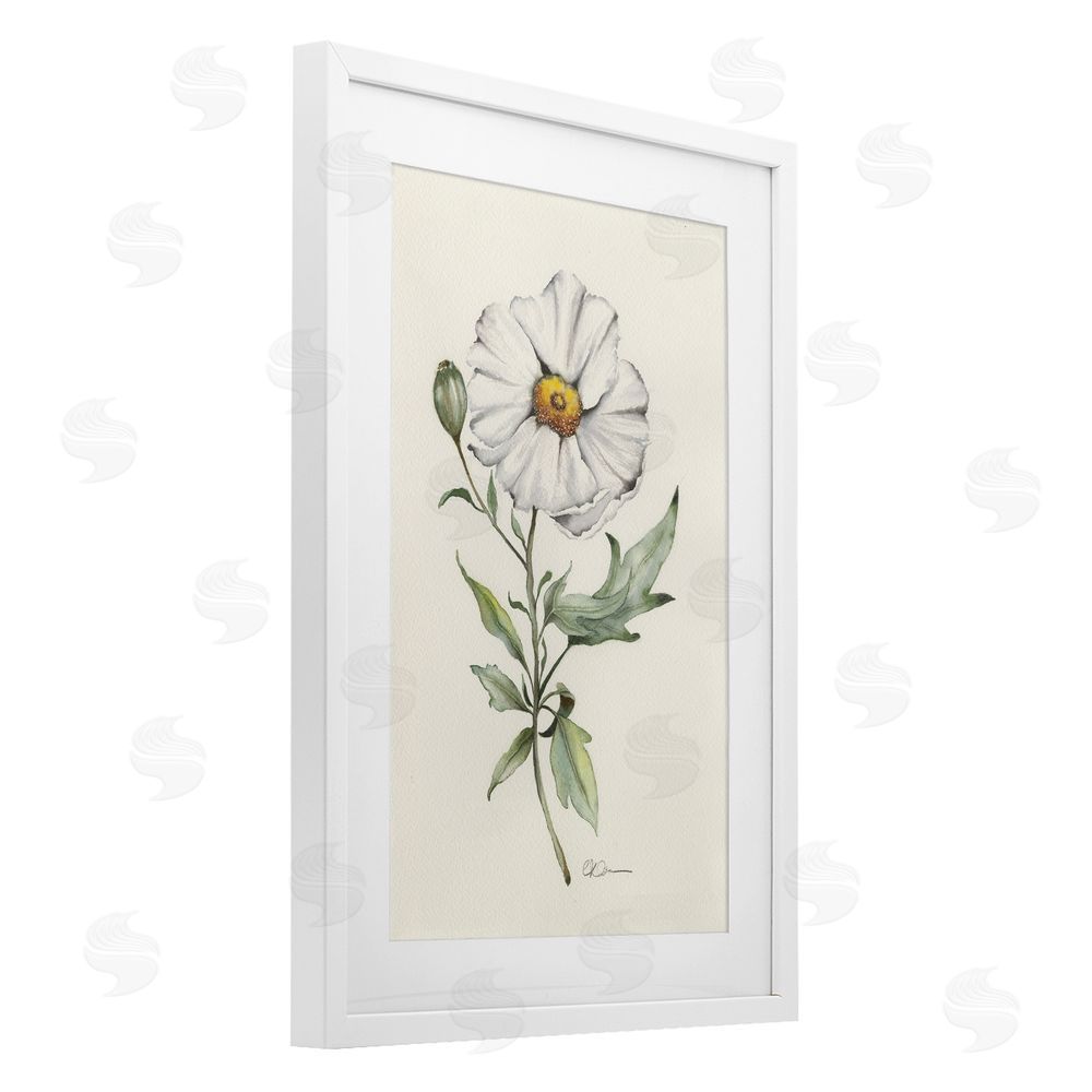 Cady Driver Natural Wild Blossom Sprig White Framed Print Under Glass Wall Art