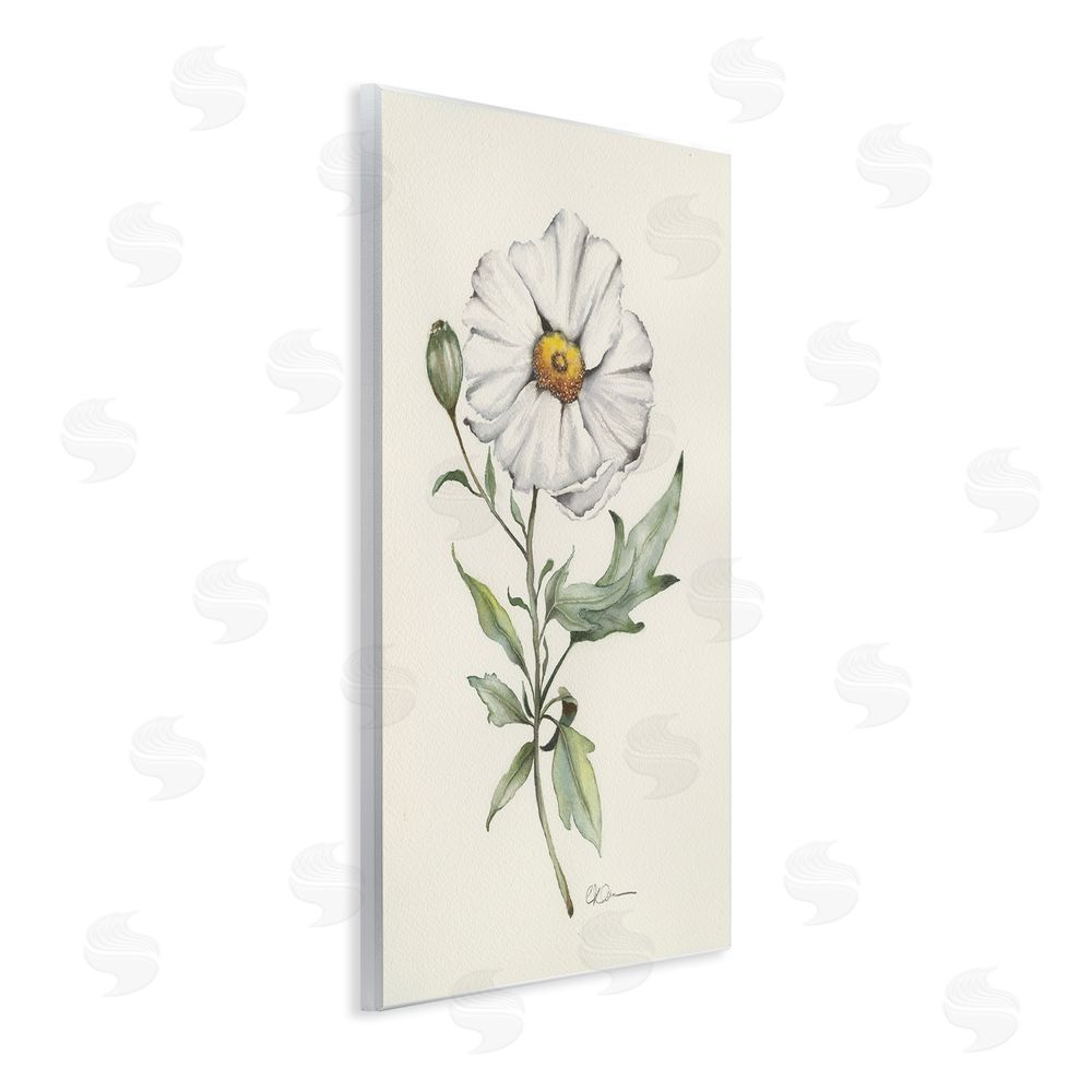 Cady Driver Natural Wild Blossom Sprig Wall Plaque Home Decor Art Print