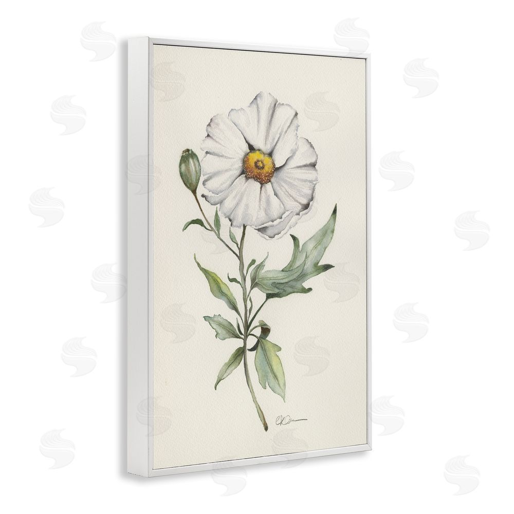 Cady Driver Natural Wild Blossom Sprig White Framed Giclee Wall Art