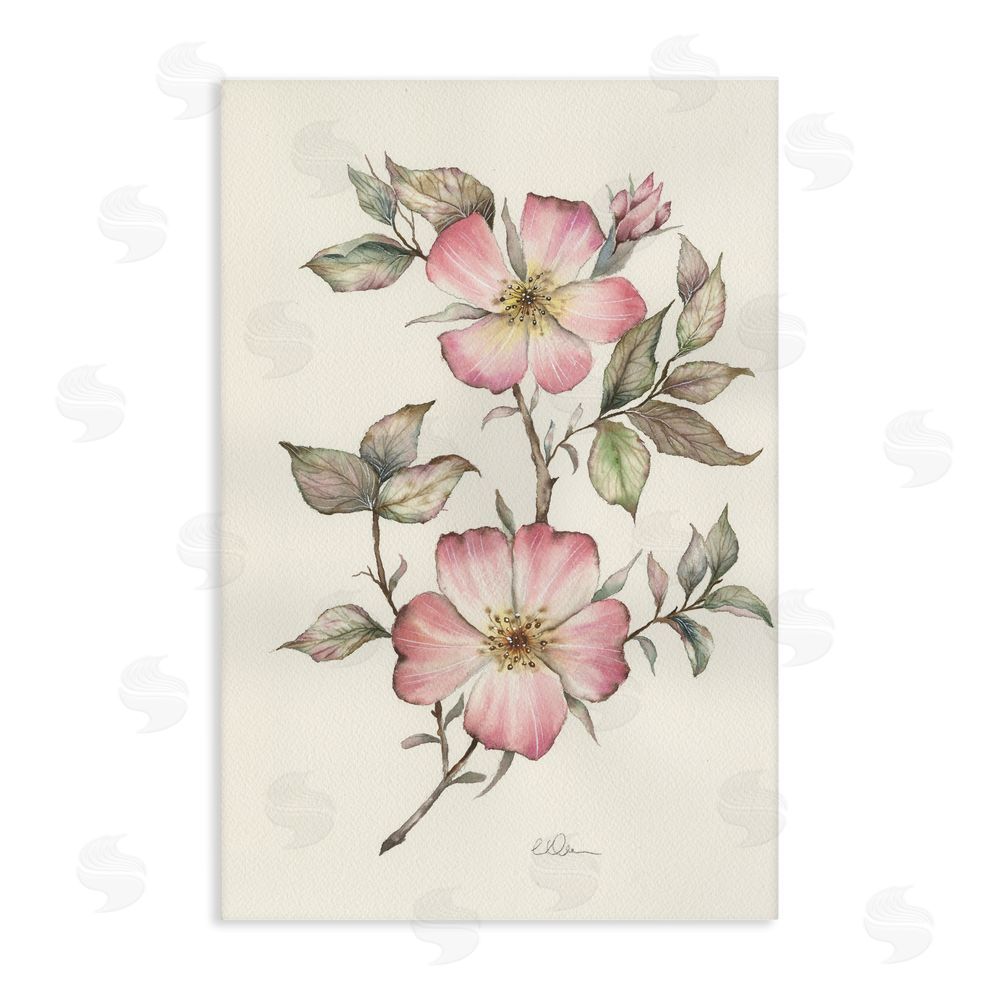 Cady Driver Two Flowers Natural Study Stretched Canvas Wall Art Print