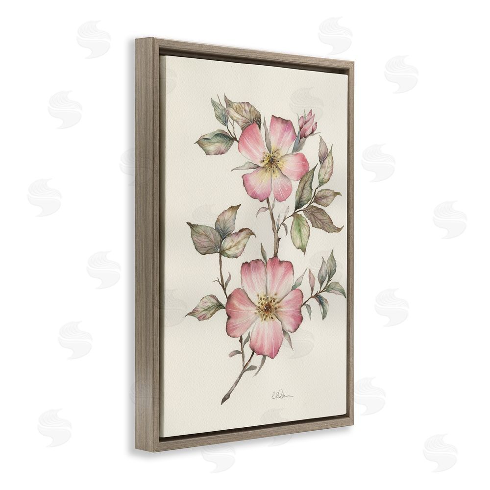 Cady Driver Two Flowers Natural Study Brown Floating Framed Canvas Wall Art Print