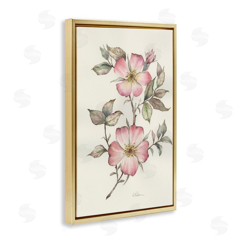 Cady Driver Two Flowers Natural Study Gold Floating Framed Canvas Wall Art Print